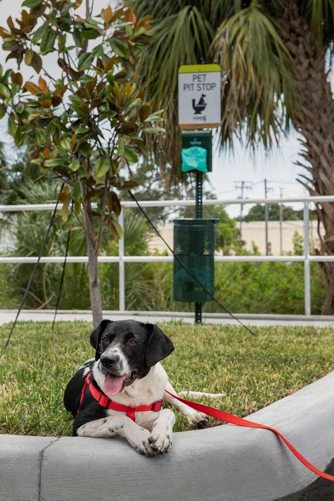 Home2 Suites By Hilton Tampa Westshore Airport ภายนอก รูปภาพ